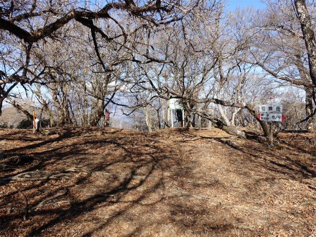 愛鷹山～位牌岳（愛鷹水神社口）登山口コースガイド 位牌岳山頂【登山口ナビ】