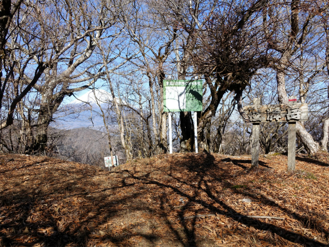 愛鷹山～位牌岳（愛鷹水神社口）登山口コースガイド 位牌岳山頂【登山口ナビ】