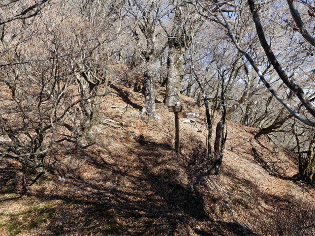 愛鷹山～位牌岳（愛鷹水神社口）登山口コースガイド 池ノ平分岐【登山口ナビ】