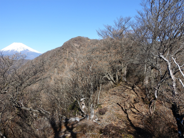 愛鷹山～位牌岳（愛鷹水神社口）登山口コースガイド 稜線からの富士山【登山口ナビ】