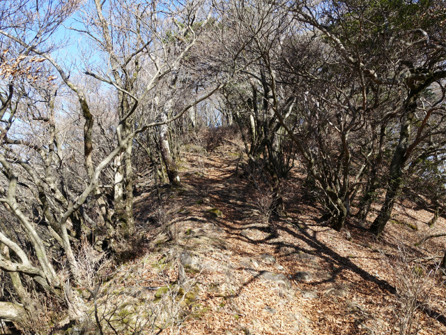 愛鷹山～位牌岳（愛鷹水神社口）登山口コースガイド【登山口ナビ】