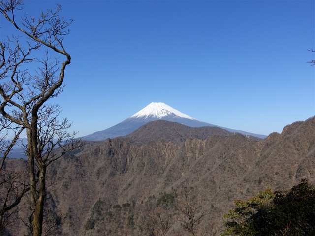 愛鷹山～位牌岳（愛鷹水神社口）登山口コースガイド 稜線から越前岳と鋸岳の眺望【登山口ナビ】