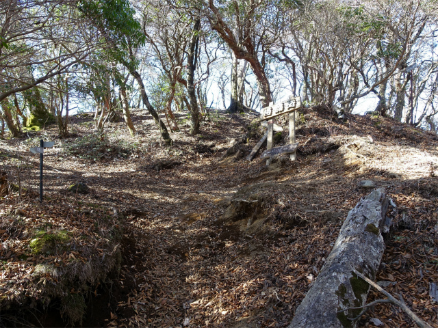 愛鷹山～位牌岳（愛鷹水神社口）登山口コースガイド 袴腰岳山頂【登山口ナビ】