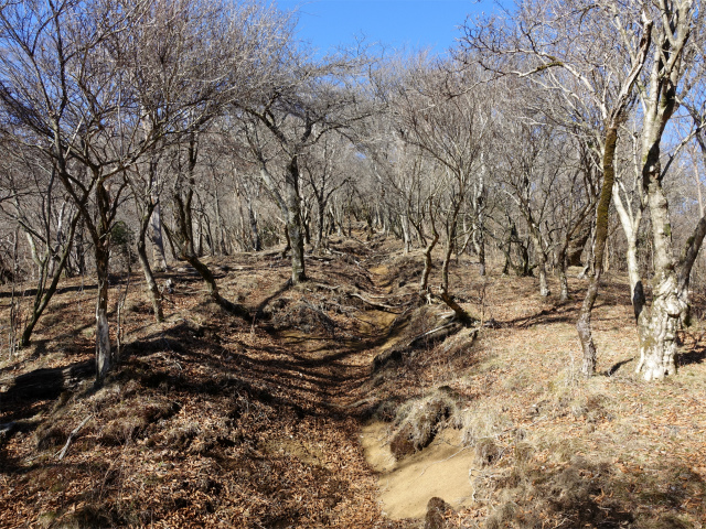 愛鷹山～位牌岳（愛鷹水神社口）登山口コースガイド 袴腰岳の鞍部【登山口ナビ】