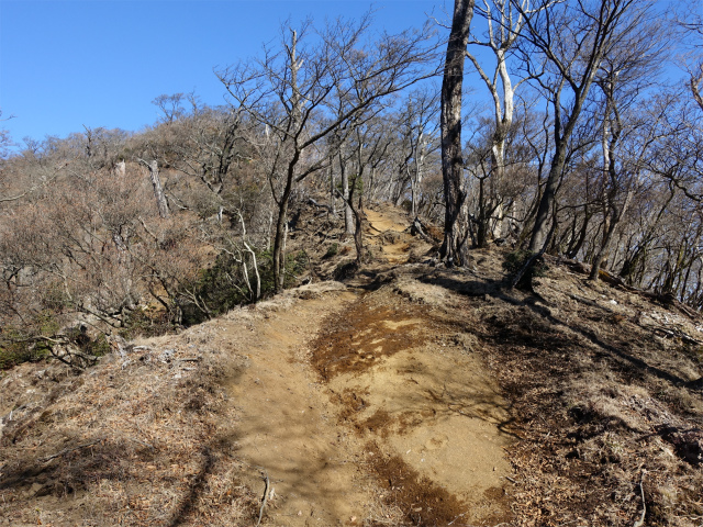 愛鷹山～位牌岳（愛鷹水神社口）登山口コースガイド 登り返し【登山口ナビ】