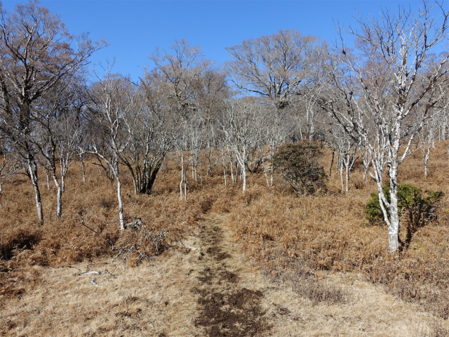 愛鷹山～位牌岳（愛鷹水神社口）登山口コースガイド 馬場平【登山口ナビ】