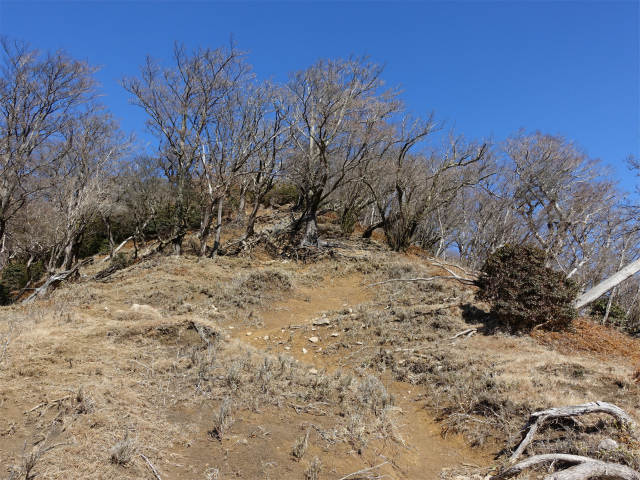 愛鷹山～位牌岳（愛鷹水神社口）登山口コースガイド 砂地の急斜面【登山口ナビ】