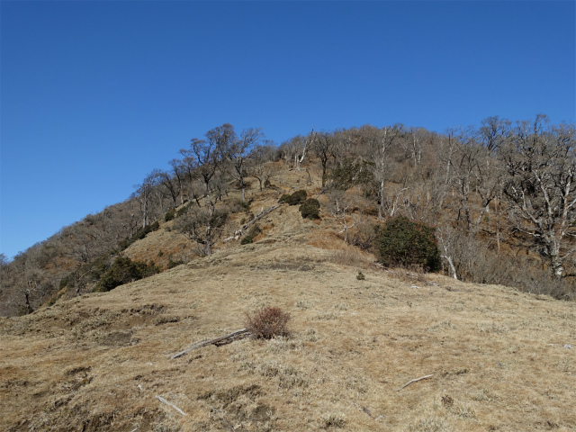 愛鷹山～位牌岳（愛鷹水神社口）登山口コースガイド 稜線【登山口ナビ】