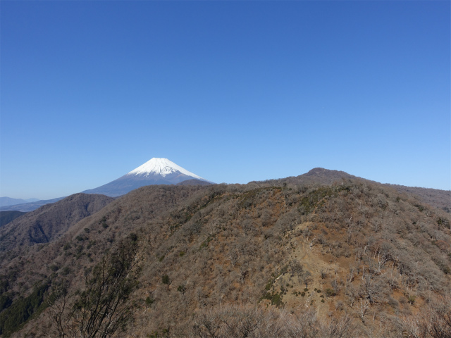 愛鷹山～位牌岳（愛鷹水神社口）登山口コースガイド【登山口ナビ】