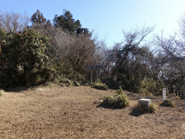 愛鷹山～位牌岳（愛鷹水神社口）登山口コースガイド 愛鷹山山頂【登山口ナビ】