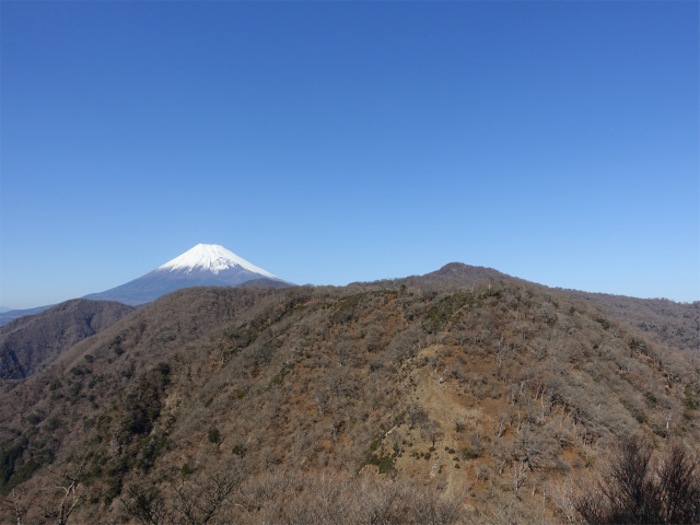 愛鷹山～位牌岳（愛鷹水神社口）登山口コースガイド 愛鷹山山頂直下からの富士山の眺望【登山口ナビ】