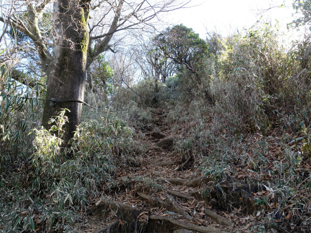 愛鷹山～位牌岳（愛鷹水神社口）登山口コースガイド 山頂直下【登山口ナビ】