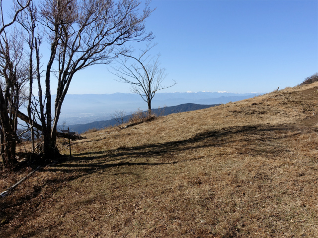 愛鷹山～位牌岳（愛鷹水神社口）登山口コースガイド 鞍部からの南アルプス【登山口ナビ】
