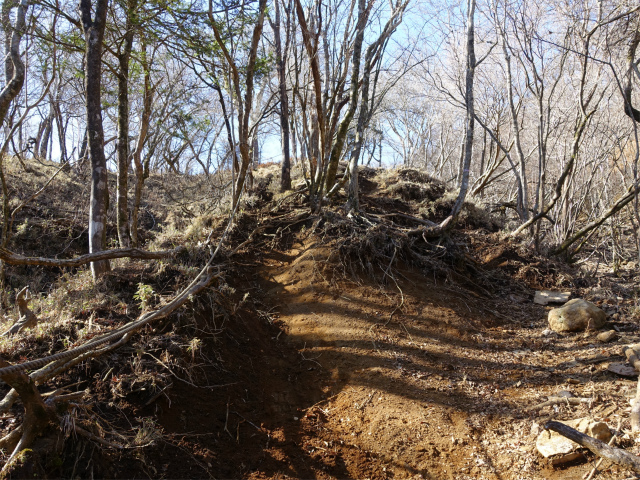 愛鷹山～位牌岳（愛鷹水神社口）登山口コースガイド 鞍部直下【登山口ナビ】