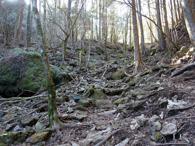 愛鷹山～位牌岳（愛鷹水神社口）登山口コースガイド ガレ【登山口ナビ】