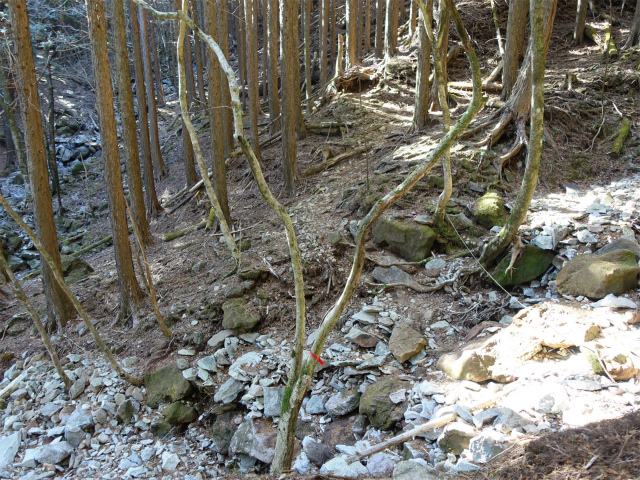 愛鷹山～位牌岳（愛鷹水神社口）登山口コースガイド 支沢の渡渉【登山口ナビ】
