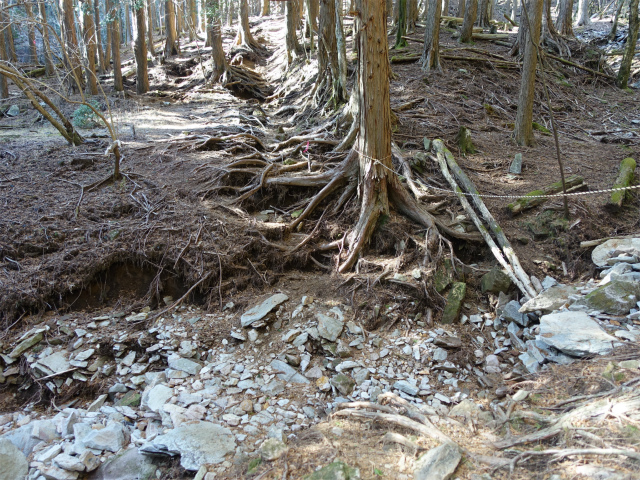 愛鷹山～位牌岳（愛鷹水神社口）登山口コースガイド 支沢の渡渉【登山口ナビ】