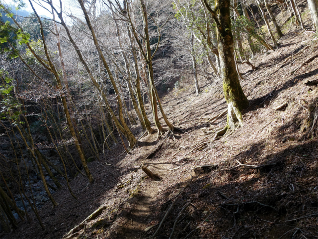 愛鷹山～位牌岳（愛鷹水神社口）登山口コースガイド【登山口ナビ】