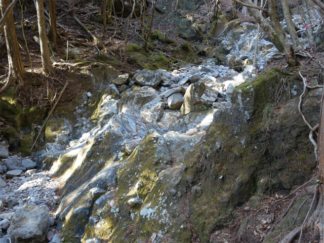 愛鷹山～位牌岳（愛鷹水神社口）登山口コースガイド 露岩の渡渉【登山口ナビ】