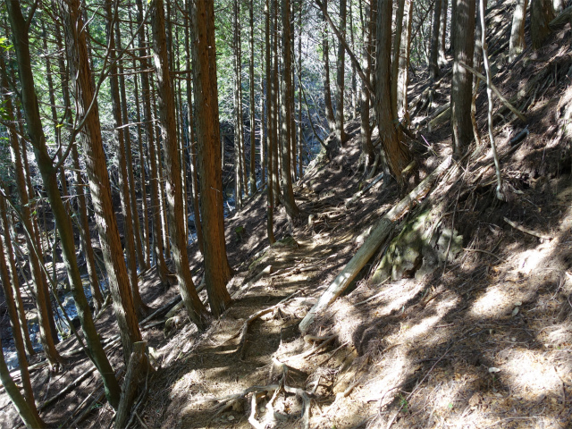 愛鷹山～位牌岳（愛鷹水神社口）登山口コースガイド トラバース【登山口ナビ】