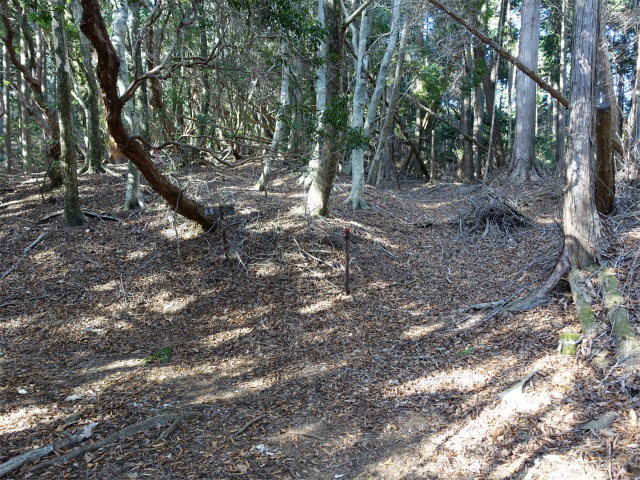愛鷹山～位牌岳（愛鷹水神社口）登山口コースガイド なだらかな尾根【登山口ナビ】