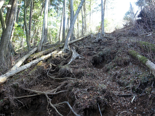 愛鷹山～位牌岳（愛鷹水神社口）登山口コースガイド【登山口ナビ】
