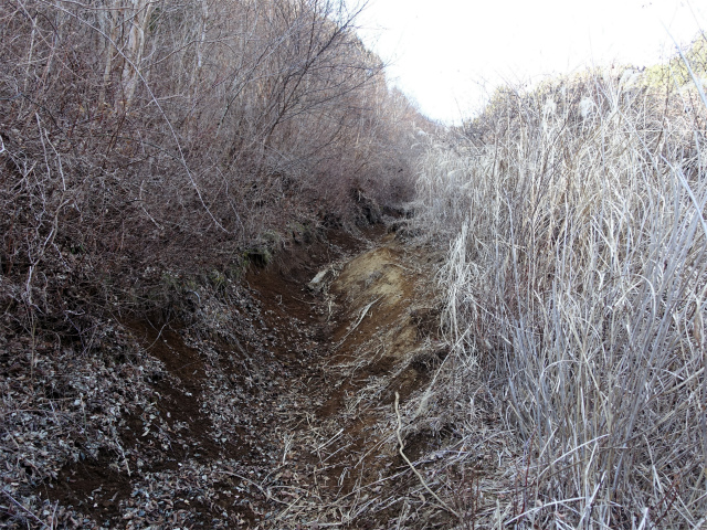 愛鷹山～位牌岳（愛鷹水神社口）登山口コースガイド 【登山口ナビ】
