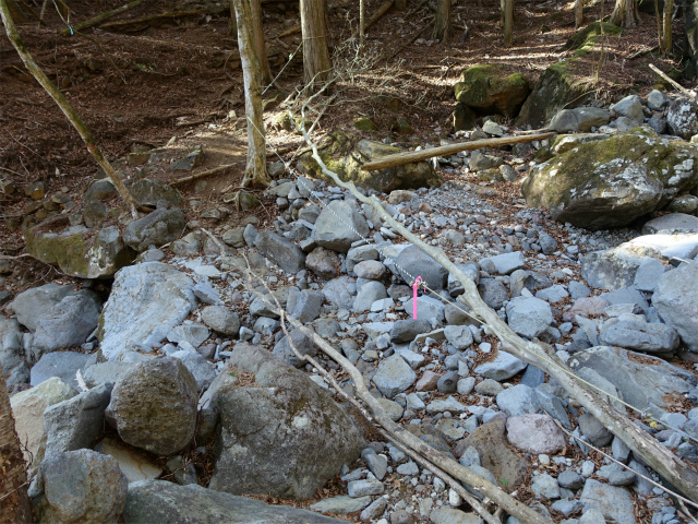 愛鷹山～位牌岳（愛鷹水神社口）登山口コースガイド 柳沢渡渉点【登山口ナビ】
