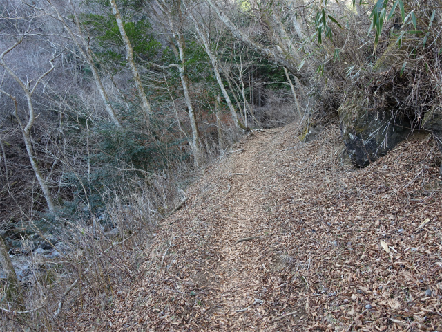 愛鷹山～位牌岳（愛鷹水神社口）登山口コースガイド トラバース【登山口ナビ】