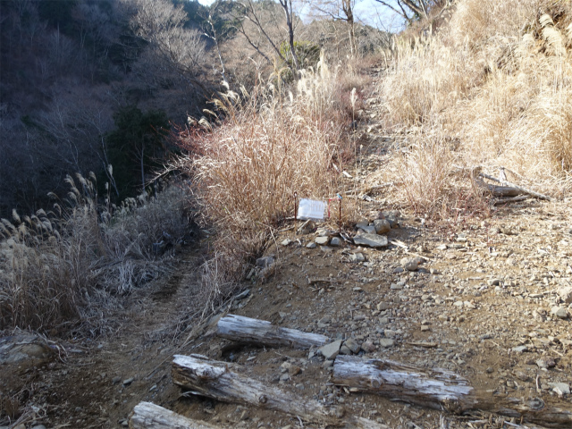 愛鷹山～位牌岳（愛鷹水神社口）登山口コースガイド 登山道分岐【登山口ナビ】