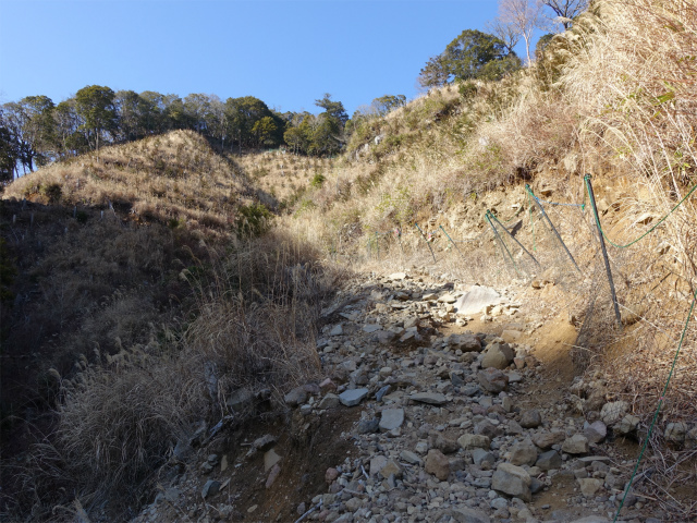 愛鷹山～位牌岳（愛鷹水神社口）登山口コースガイド 作業道【登山口ナビ】