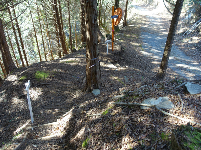 愛鷹山～位牌岳（愛鷹水神社口）登山口コースガイド 林道合流点【登山口ナビ】