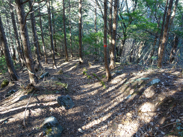 愛鷹山～位牌岳（愛鷹水神社口）登山口コースガイド 下り【登山口ナビ】