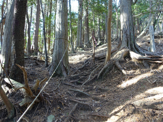 愛鷹山～位牌岳（愛鷹水神社口）登山口コースガイド ガイドロープ【登山口ナビ】