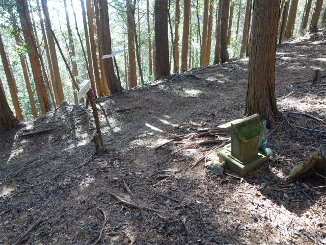 愛鷹山～位牌岳（愛鷹水神社口）登山口コースガイド 小祠の分岐【登山口ナビ】
