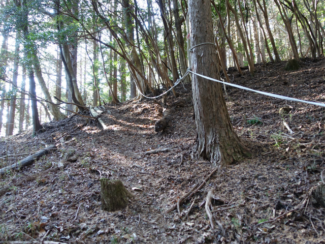 愛鷹山～位牌岳（愛鷹水神社口）登山口コースガイド ロープ【登山口ナビ】