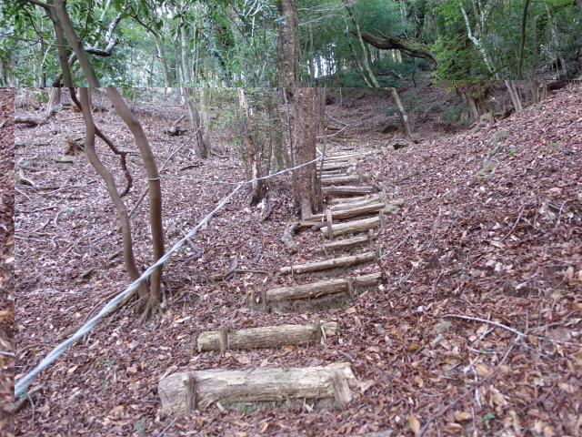 愛鷹山～位牌岳（愛鷹水神社口）登山口コースガイド 階段の急登【登山口ナビ】