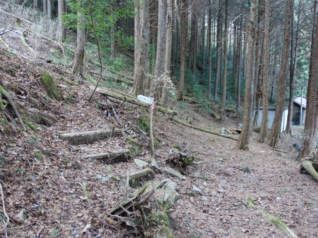 愛鷹山～位牌岳（愛鷹水神社口）登山口コースガイド 近道取り付き【登山口ナビ】