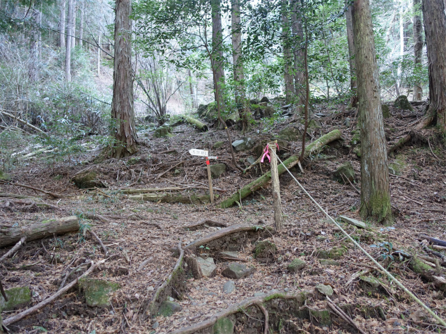 愛鷹山～位牌岳（愛鷹水神社口）登山口コースガイド 馬頭観音分岐【登山口ナビ】