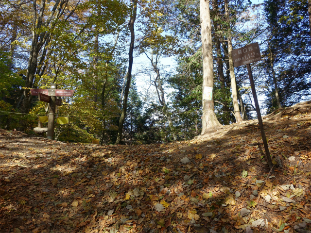 三頭山(鞘口峠~ブナの路) サイグチ沢コース分岐【登山口ナビ】