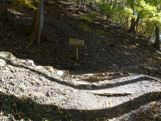 三頭山(鞘口峠~ブナの路)里山休憩小屋分岐【登山口ナビ】