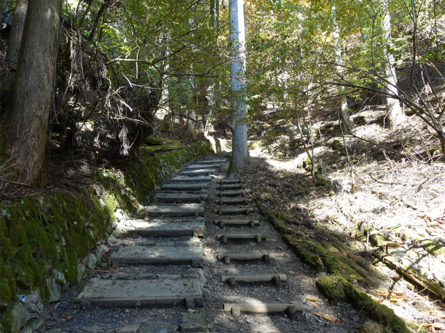 三頭山(鞘口峠~ブナの路)階段【登山口ナビ】
