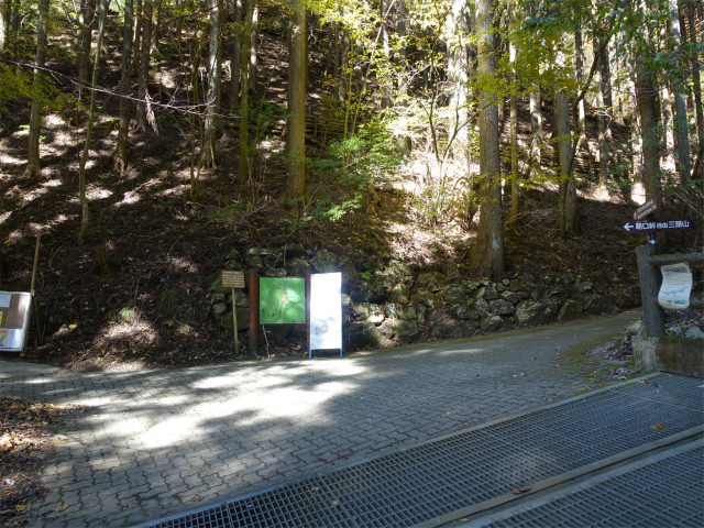 三頭山(鞘口峠~ブナの路)都民の森里山の路分岐【登山口ナビ】