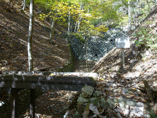 三頭山(鞘口峠~ブナの路) 木橋【登山口ナビ】