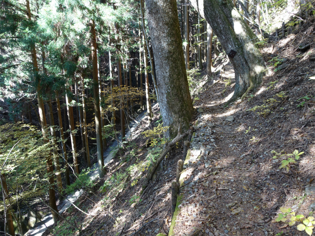 三頭山(鞘口峠~ブナの路)【登山口ナビ】