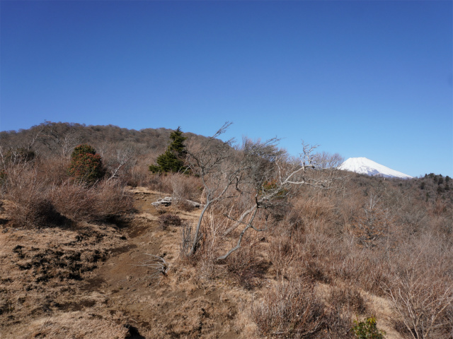 位牌岳（池ノ平コース）登山口コースガイド【登山口ナビ】