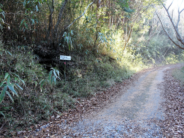 位牌岳（池ノ平コース）登山口コースガイド 展望台近道【登山口ナビ】