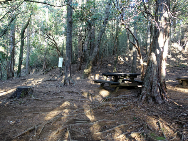 位牌岳（池ノ平コース）登山口コースガイド ベンチの平場【登山口ナビ】