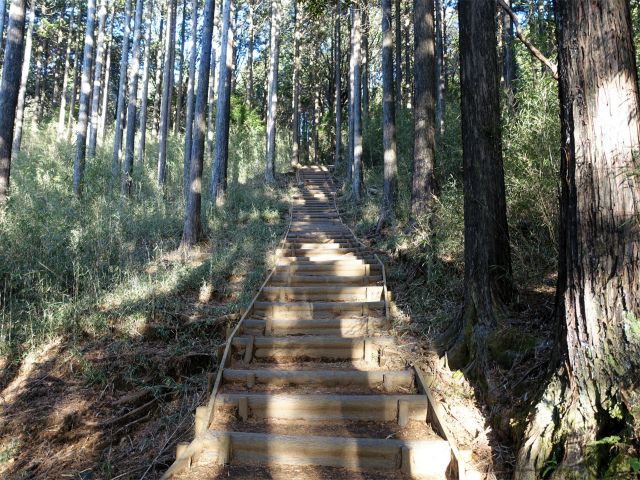 位牌岳（池ノ平コース）登山口コースガイド 階段【登山口ナビ】