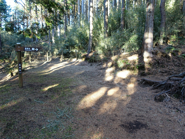 位牌岳（池ノ平コース）登山口コースガイド 防火帯のベンチ【登山口ナビ】